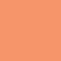 U 3113   Оранжевый